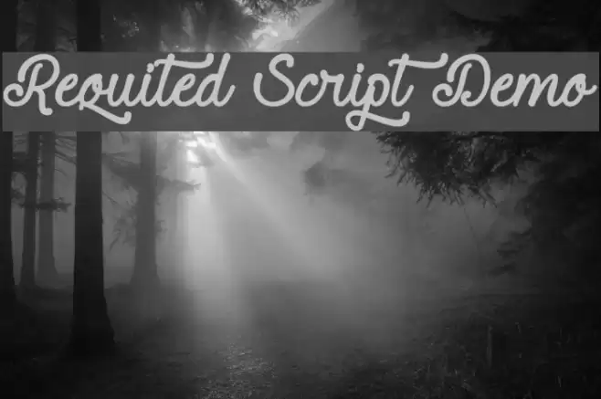 Requited Script Demo Font examples