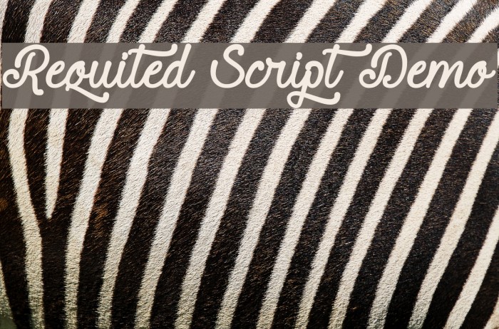 Requited Script Demo Font examples