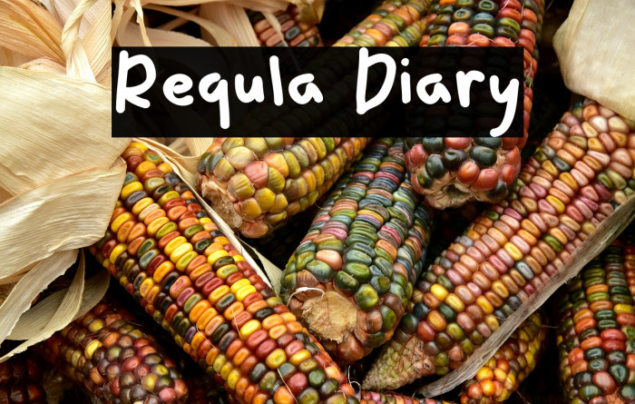 Requla Diary Example 1