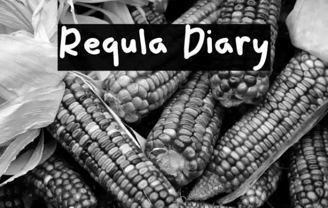 Requla Diary خط examples