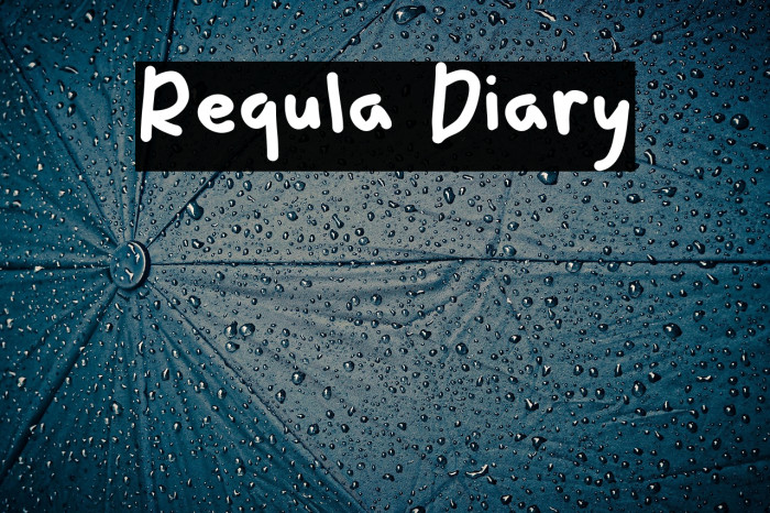 Requla Diary Example 2