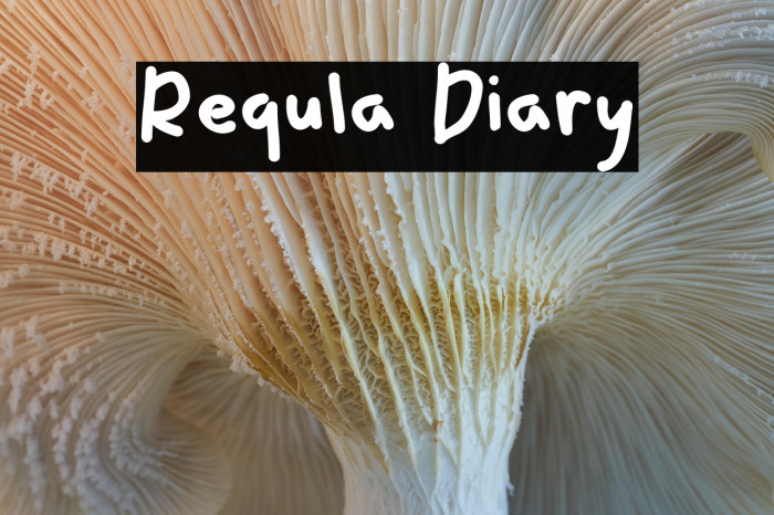 Requla Diary Example 3
