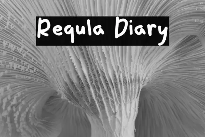 Requla Diary خط examples