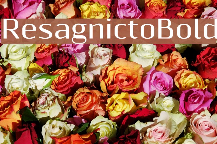 ResagnictoBold Font examples