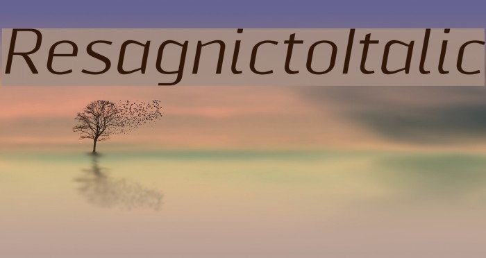 ResagnictoItalic Font examples
