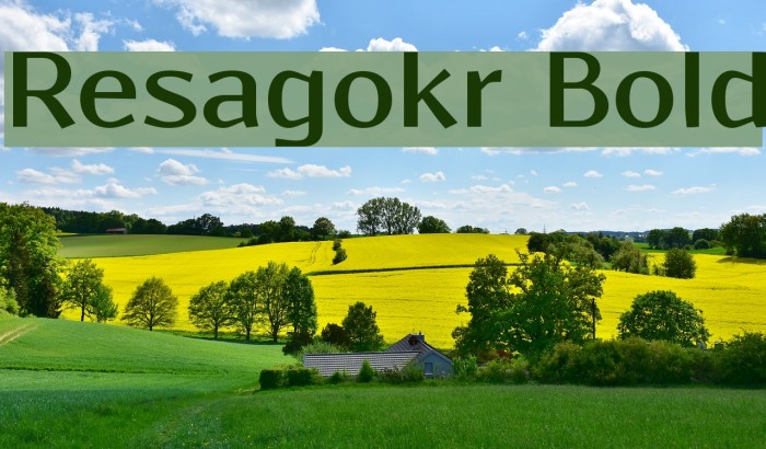 Resagokr Bold Font examples