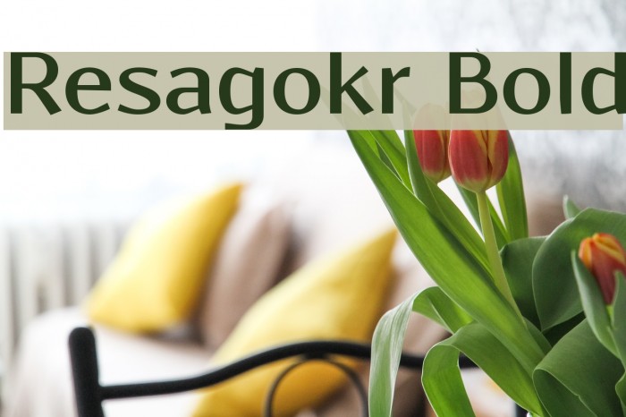 Resagokr Bold Font examples