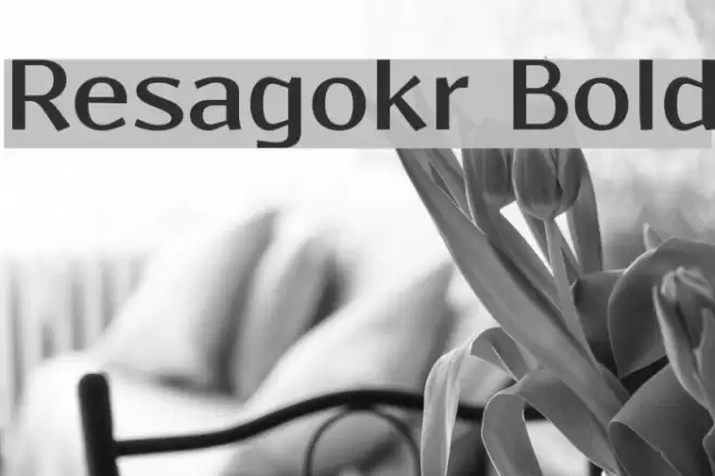 Resagokr Bold Schriftart examples