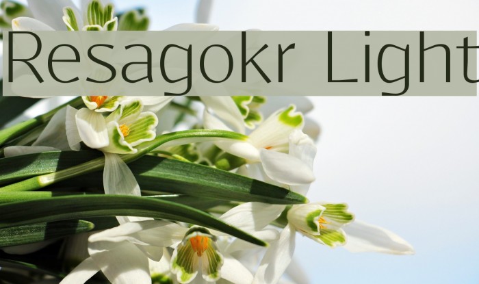 Resagokr Light Font examples