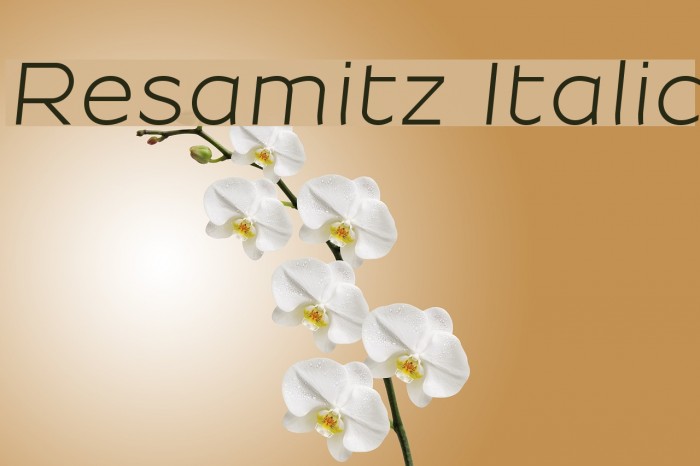 Resamitz Italic Font examples