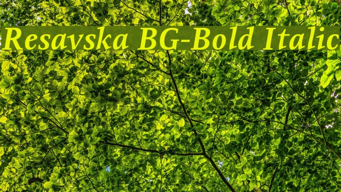 Resavska BG-Bold Italic Font examples