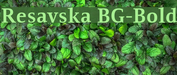 Resavska BG-Bold Font examples