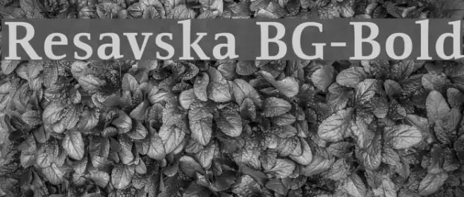 Resavska BG-Bold examples