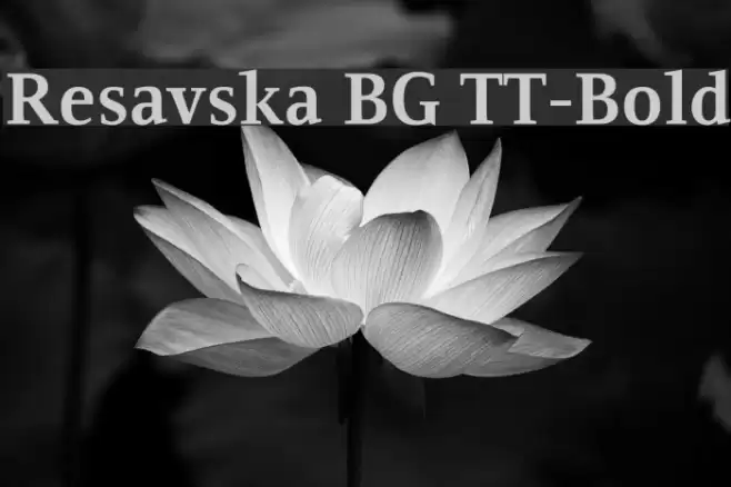 Resavska BG TT-Bold Font examples