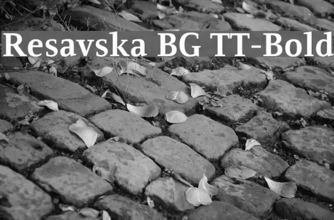 Resavska BG TT-Bold Font examples