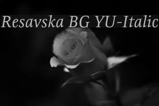Resavska BG YU-Italic Font examples