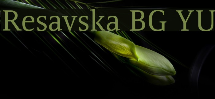 Resavska BG YU Font examples