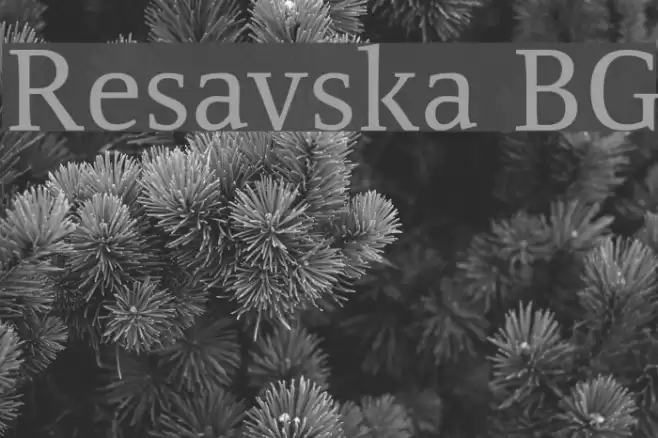 Resavska BG Font examples