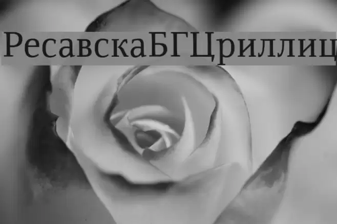 ResavskaBGCyrillic Font examples