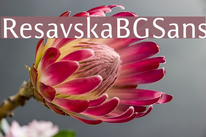 ResavskaBGSans Example 1