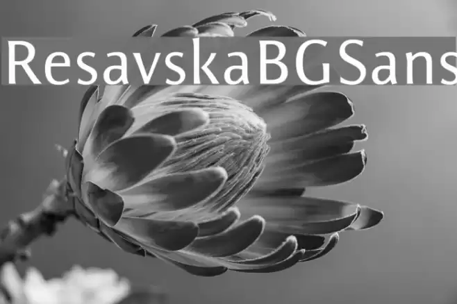 ResavskaBGSans Font examples