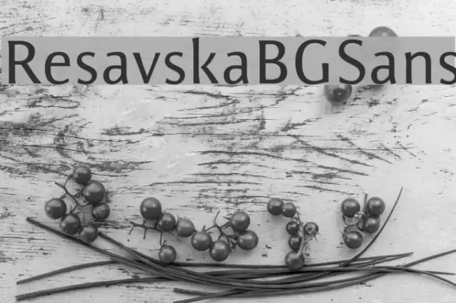 ResavskaBGSans Font examples