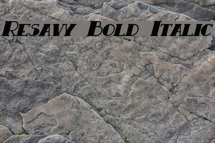Resavy Bold Italic Font examples