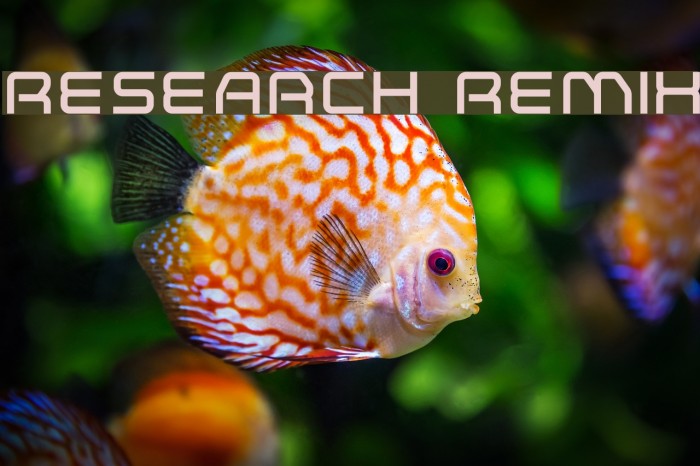 Research Remix Font examples