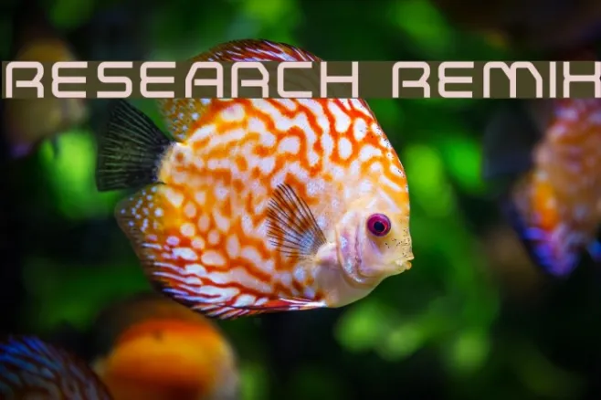 Research Remix Example 2