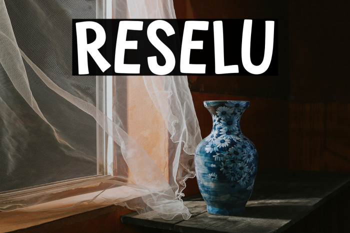 Reselu Example 1