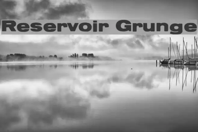 Reservoir Grunge Polices examples