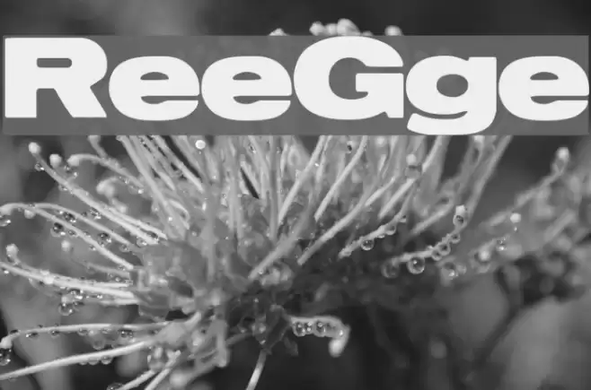 ReservoirGrunge Font examples