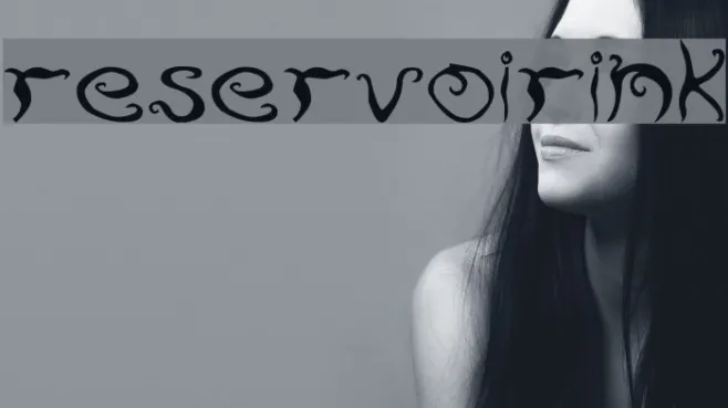 ReservoirInk Example 1