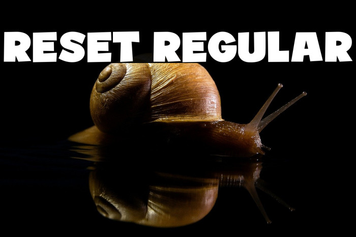 Reset Regular Example 2