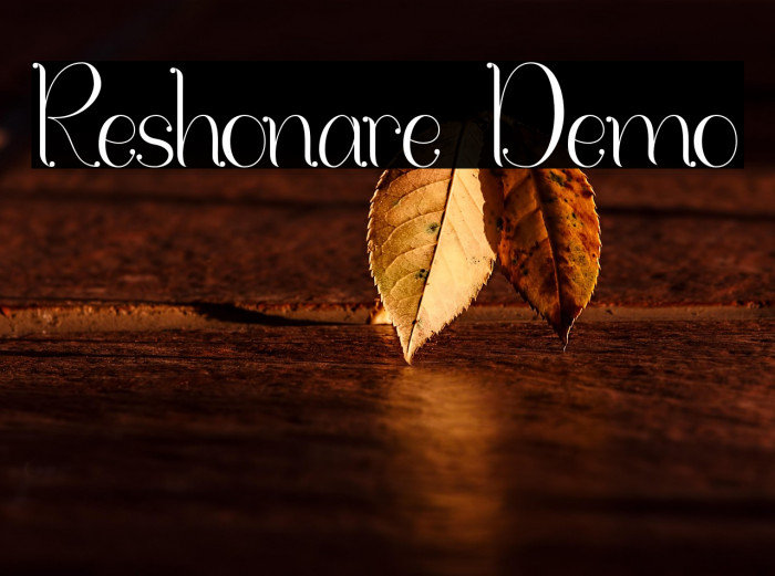 Reshonare Demo Example 1