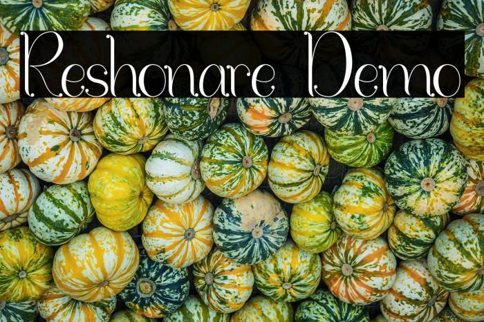 Reshonare Demo Example 2