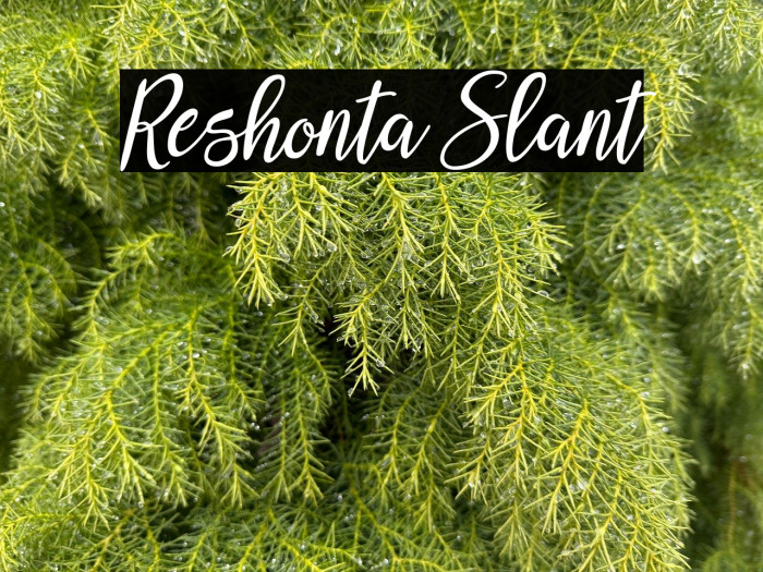 Reshonta Slant خط examples