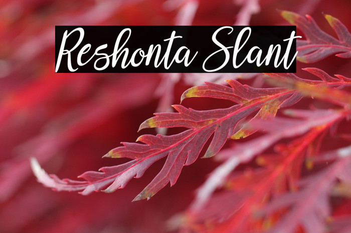 Reshonta Slant خط examples