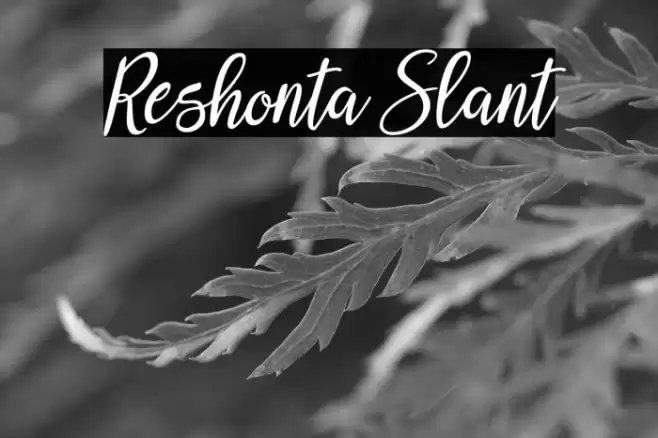 Reshonta Slant Fuentes examples