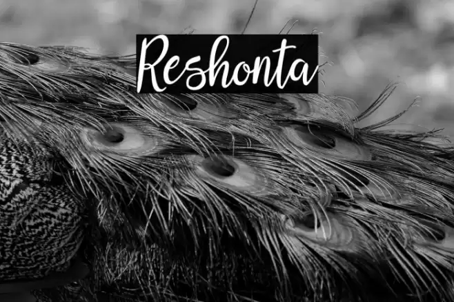 Reshonta Font examples