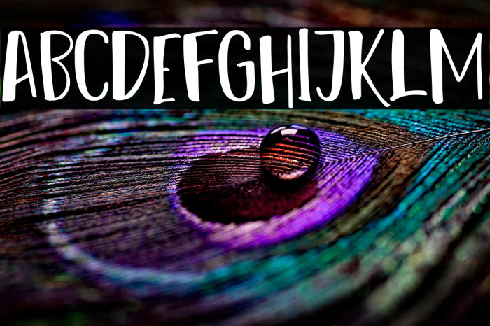 Reshuffle Sans Regular Example 1