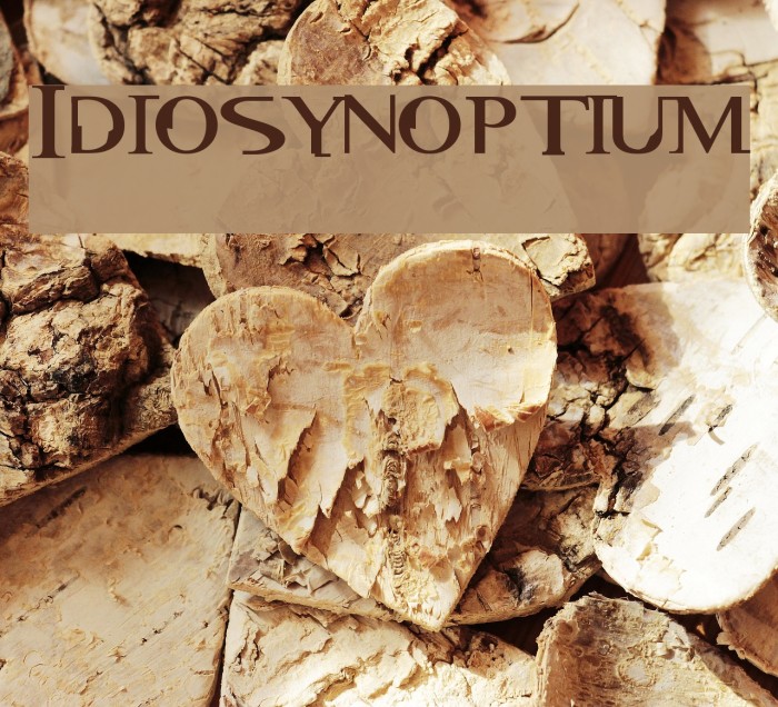 Idiosynoptium Example 1