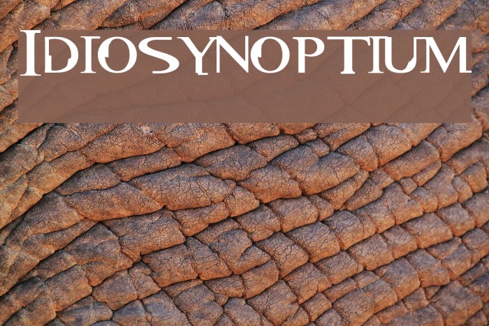 Idiosynoptium Example 2