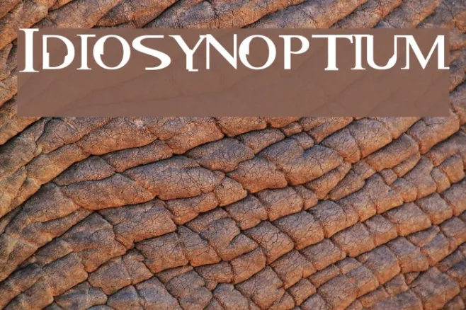 Idiosynoptium Example 2