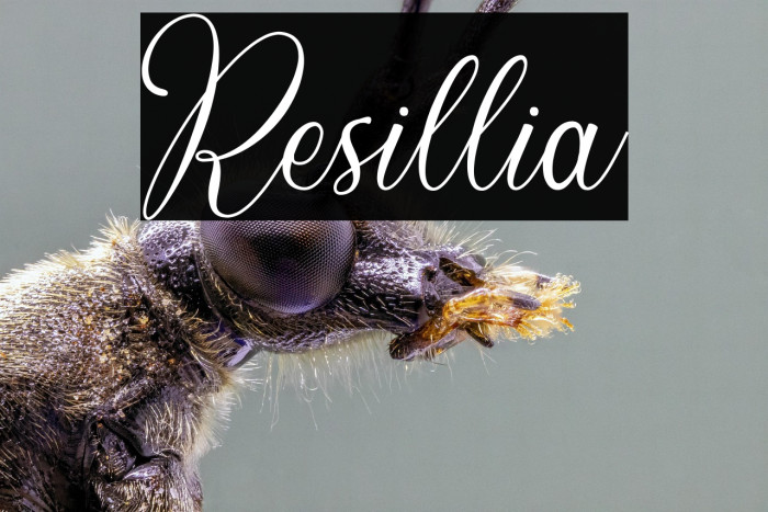 Resillia Example 1