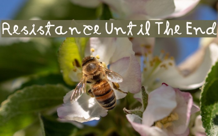 Resistance Until The End Example 2