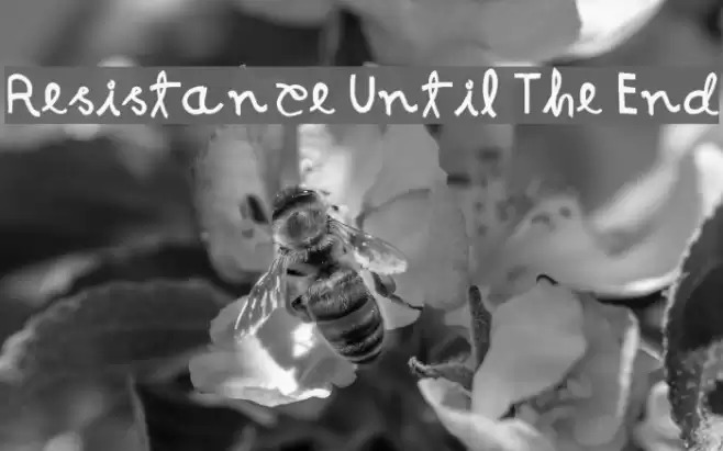 Resistance Until The End Font examples
