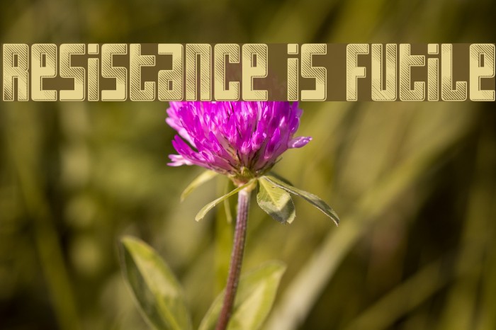 Resistance is Futile Font examples