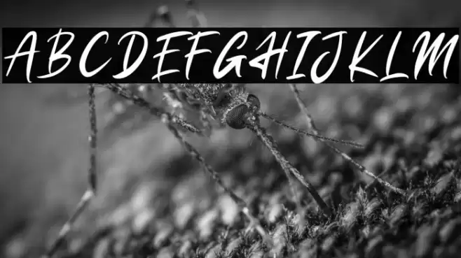 Resitta Font examples