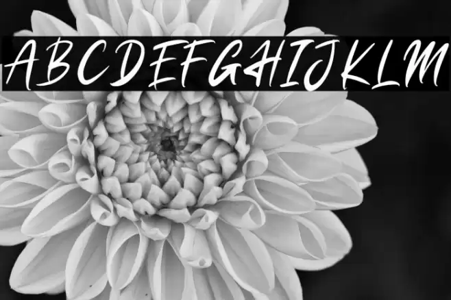 Resitta Font examples